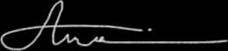 Amirhossein Allami signature